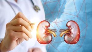 Pengertian Perbedaan Gagal Ginjal Dan Ginjal Akut