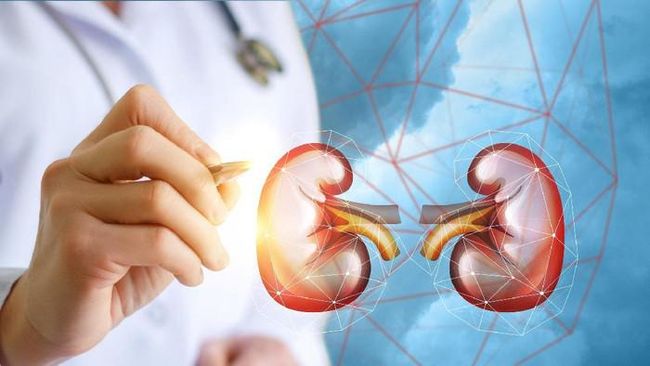 Pengertian Perbedaan Gagal Ginjal Dan Ginjal Akut